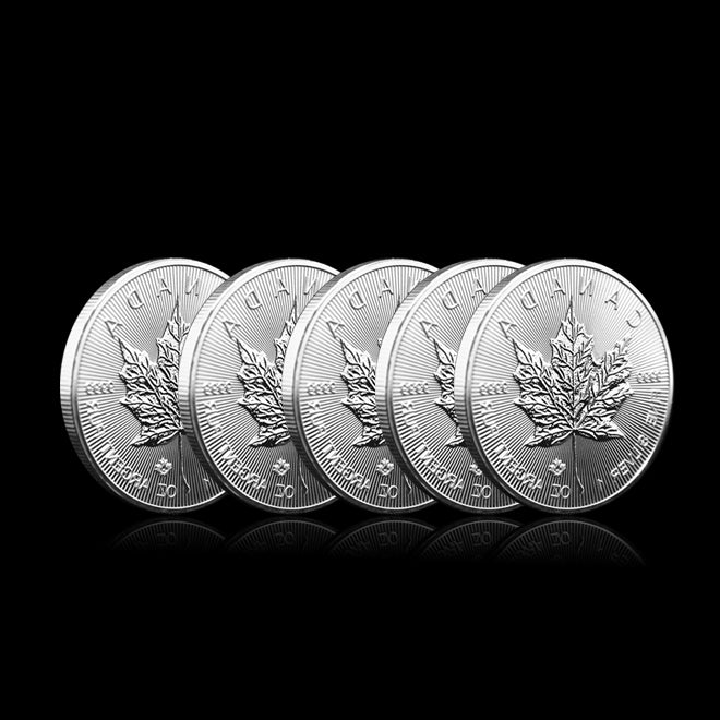 2025 1 oz Canadian Platinum Maple Leaf Coin