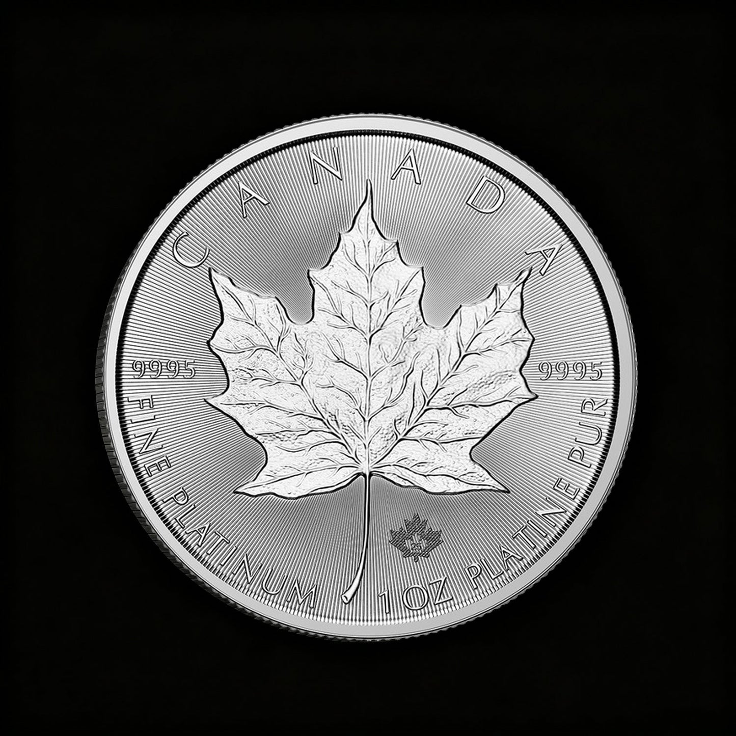 2025 1 oz Canadian Platinum Maple Leaf Coin