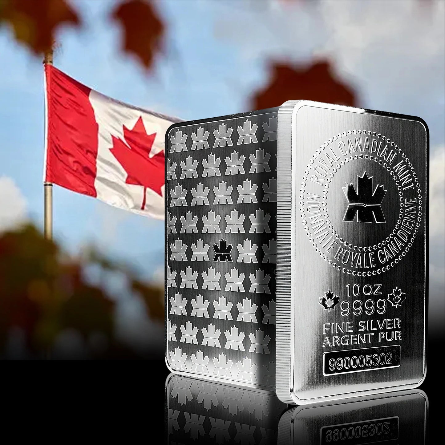 🇨🇦 Royal Canadian Mint 10 oz Silver Bar